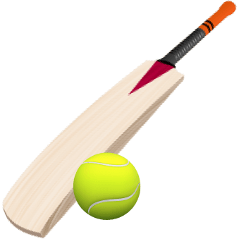 Cricket